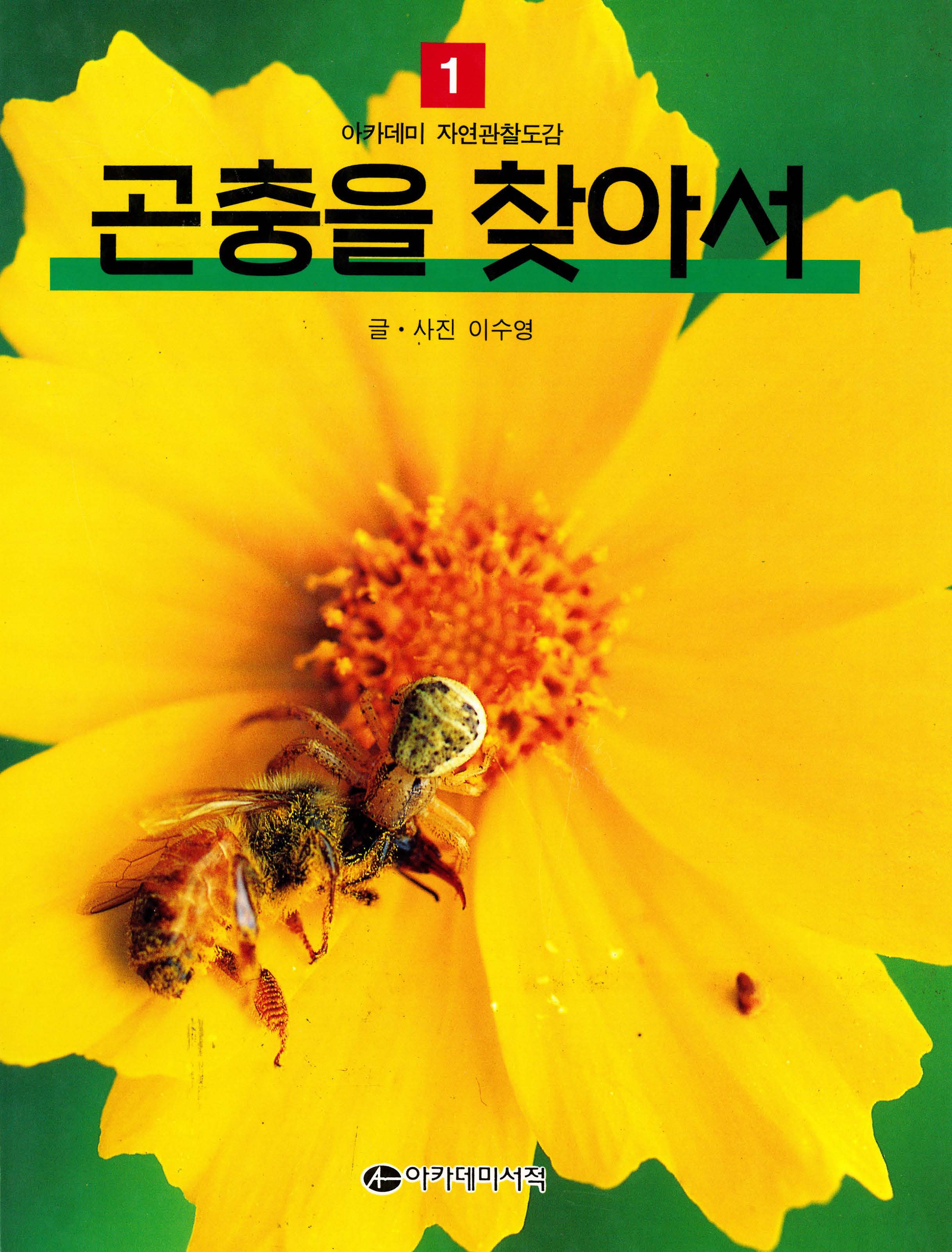 곤충을 찾아서