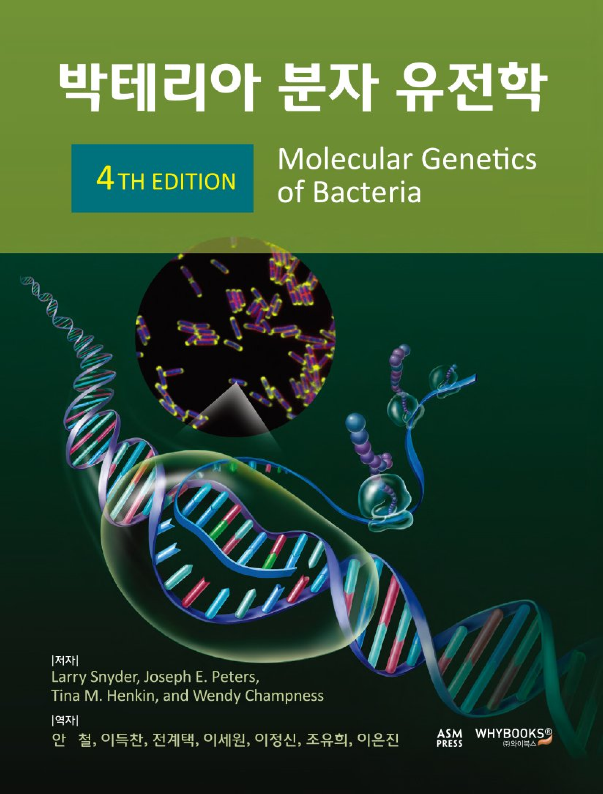 박테리아 분자 유전학 4판