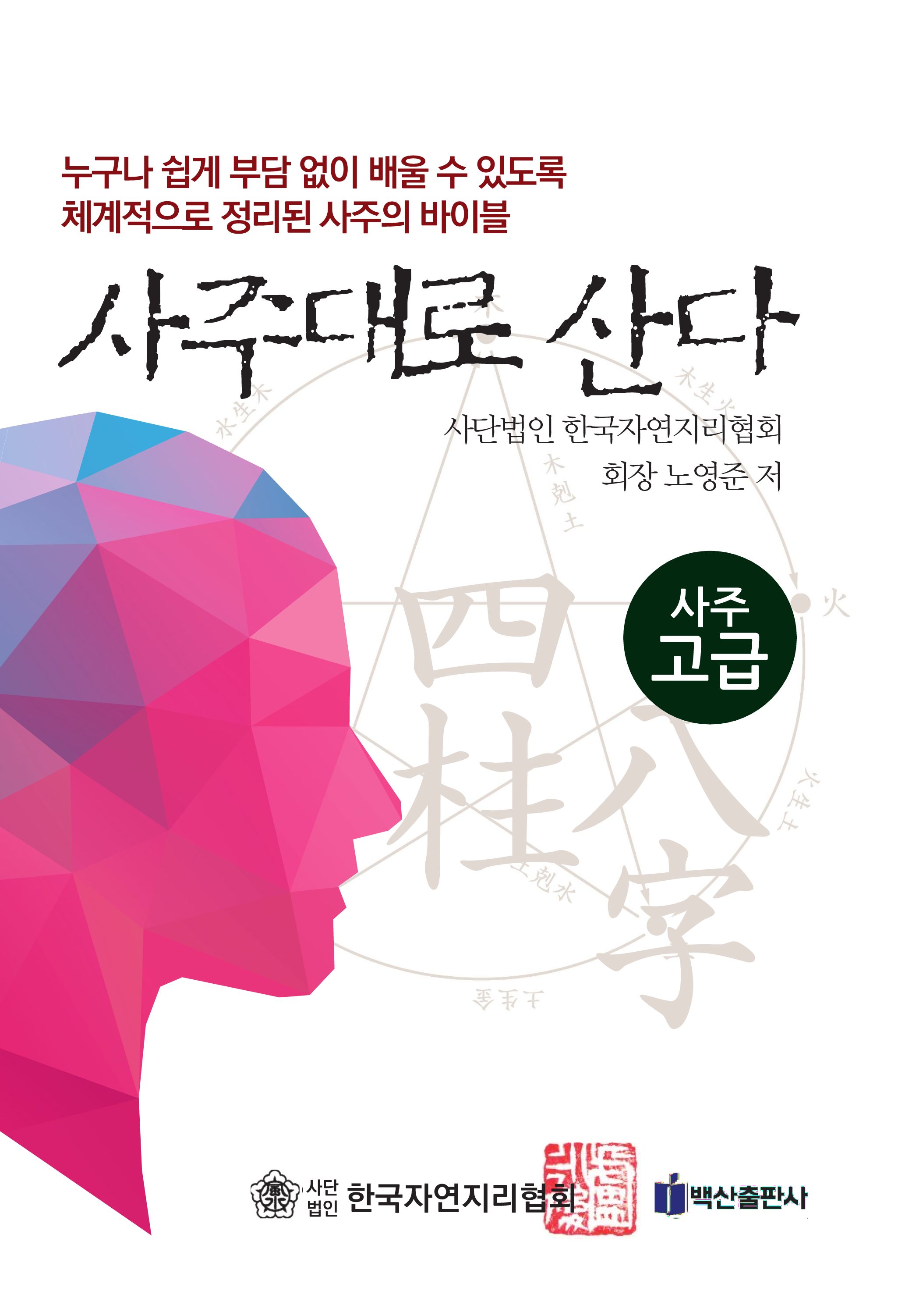 사주대로 산다: 사주 고급