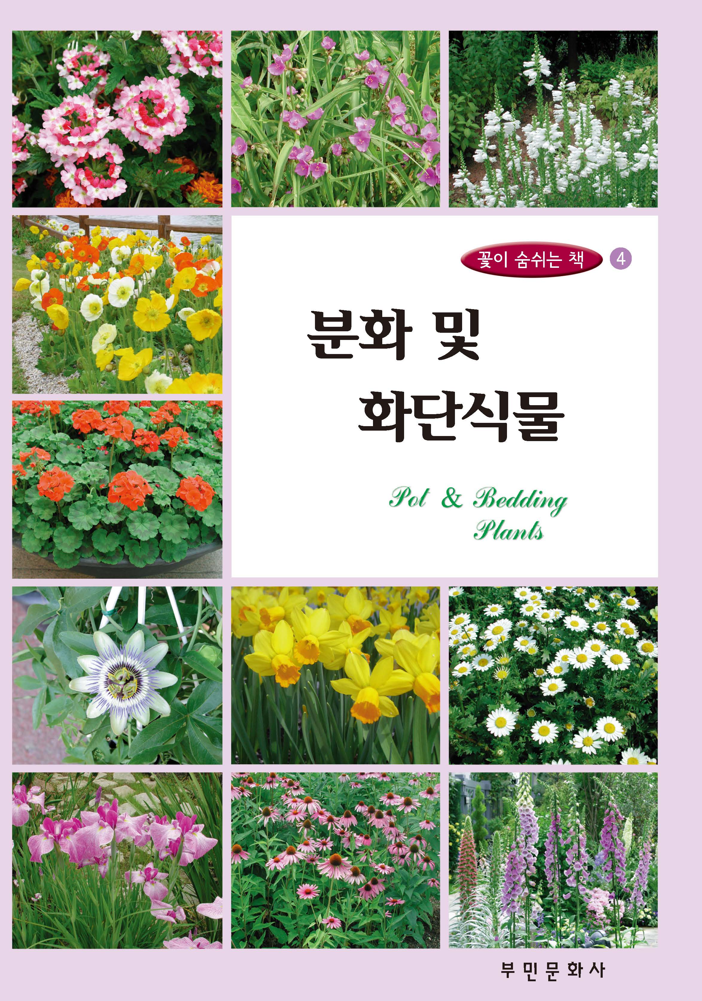 꽃이 숨쉬는 책 4 분화 및 화단식물