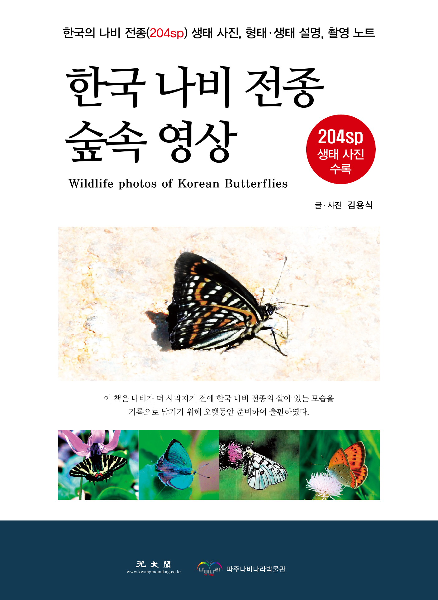 한국 나비 전종 숲속 영상