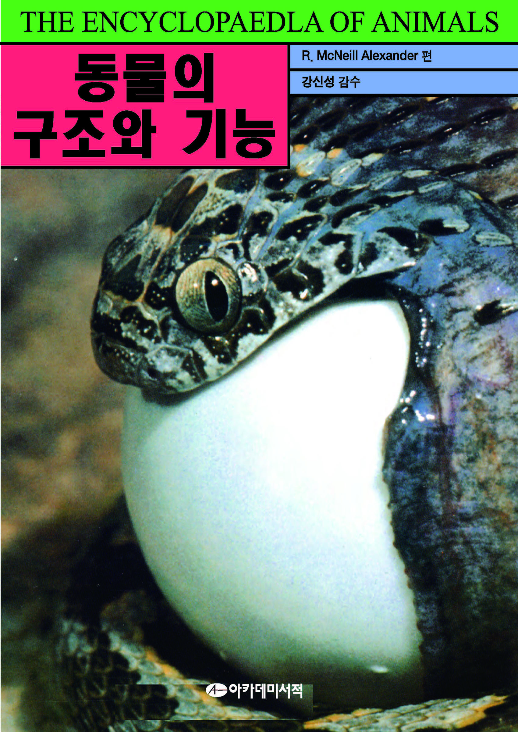 동물의 구조와 기능