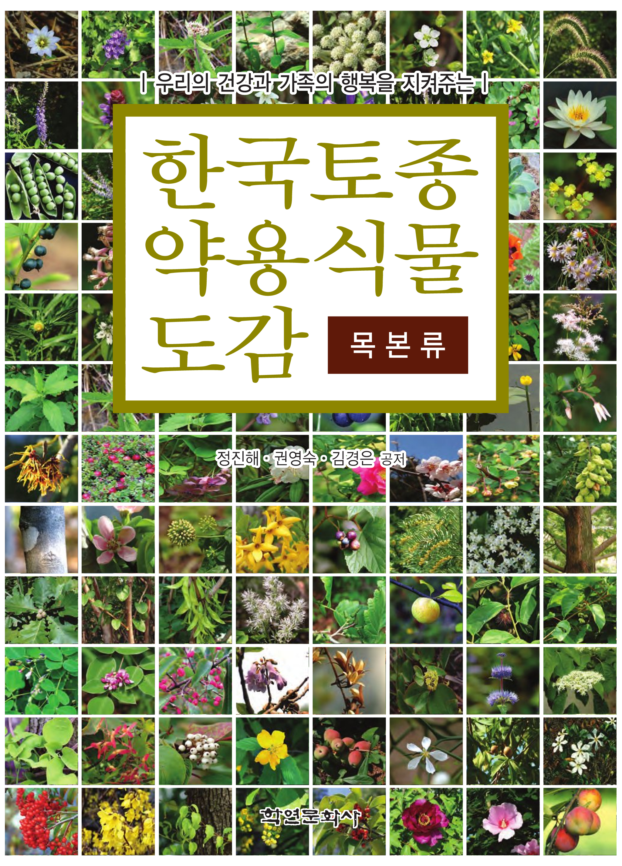 한국토종약용식물도감 목본류